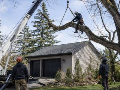 Crane lifting a large limb clear of a garage during a tree removal