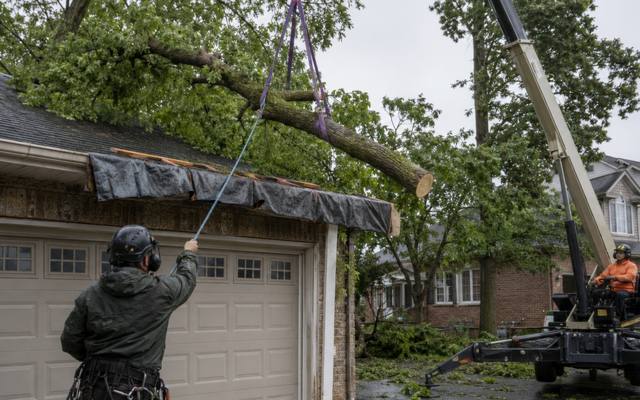 Crane lowering a heavy limb over a garage roof protected with tarps